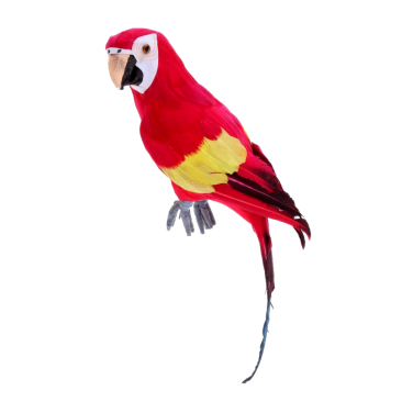 Foam Feather Parrot