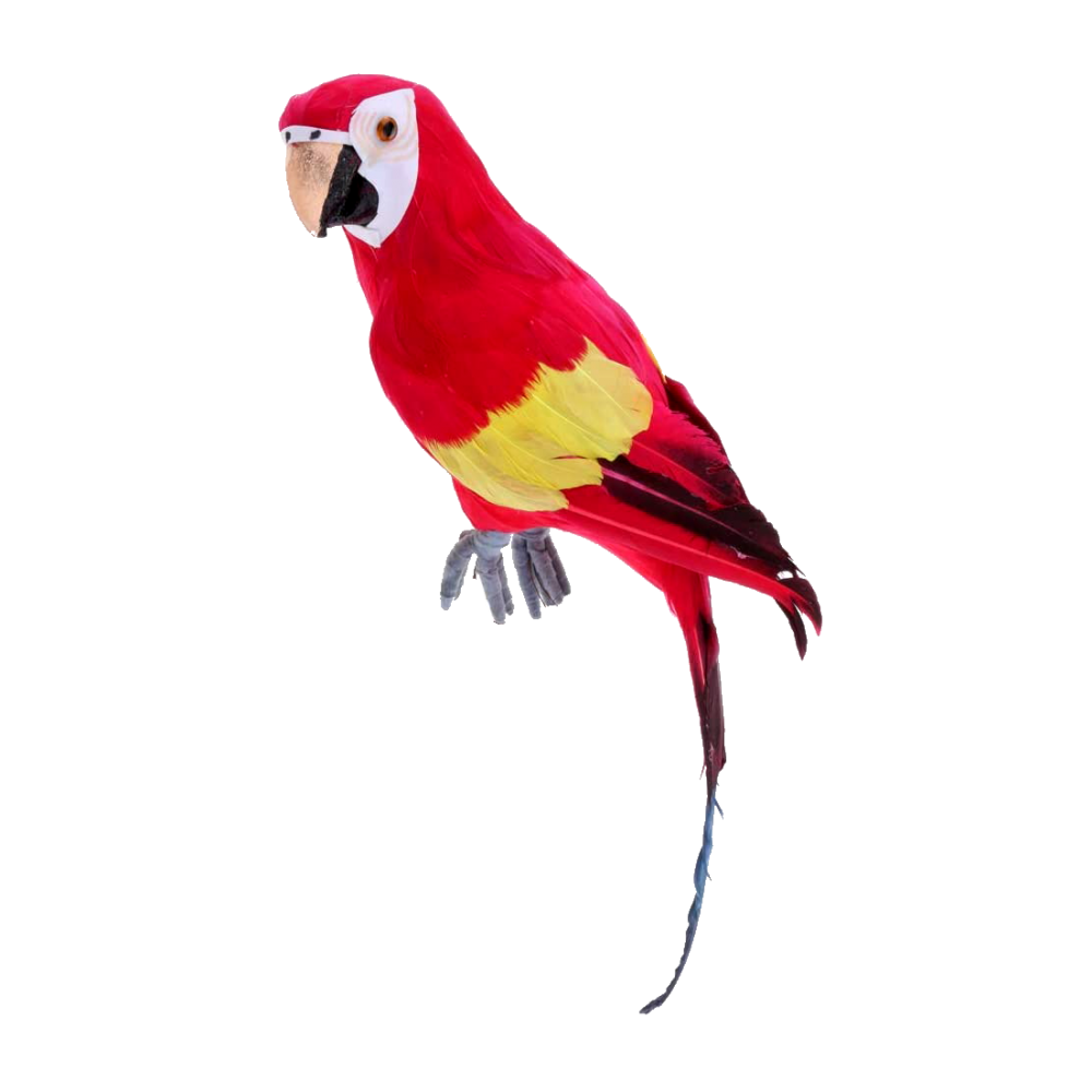 Foam Feather Parrot
