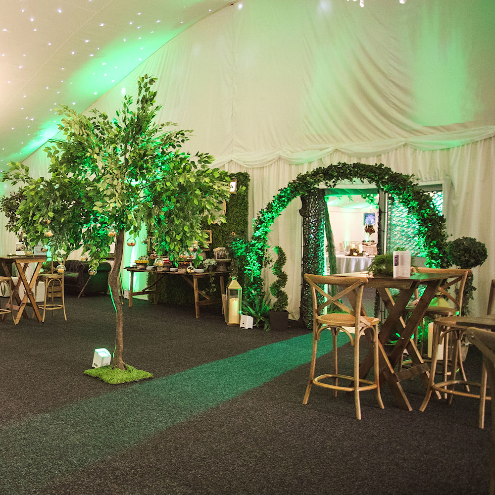 Floor standing green tree