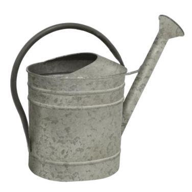 Galvanised Steel Metal Vintage Watering Can