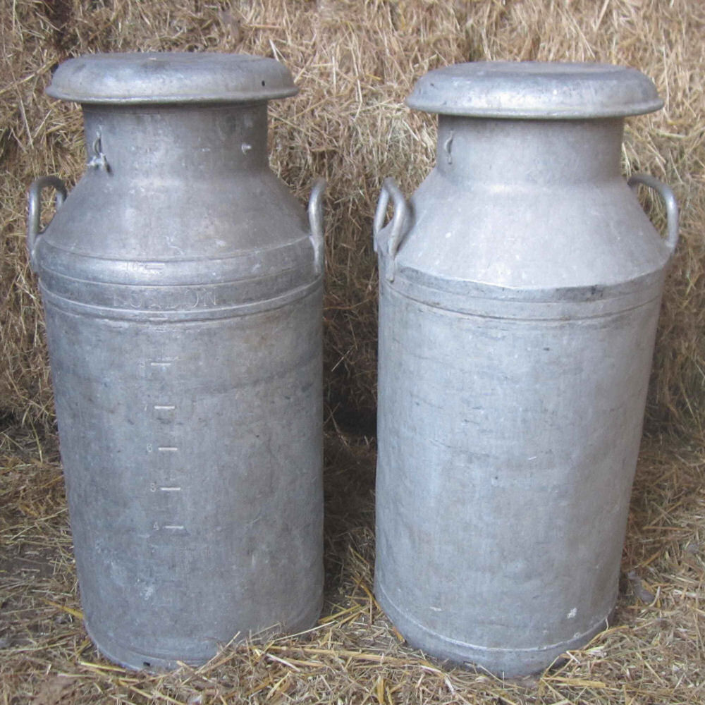 Galvanised Steel Metal Vintage Milk Churn