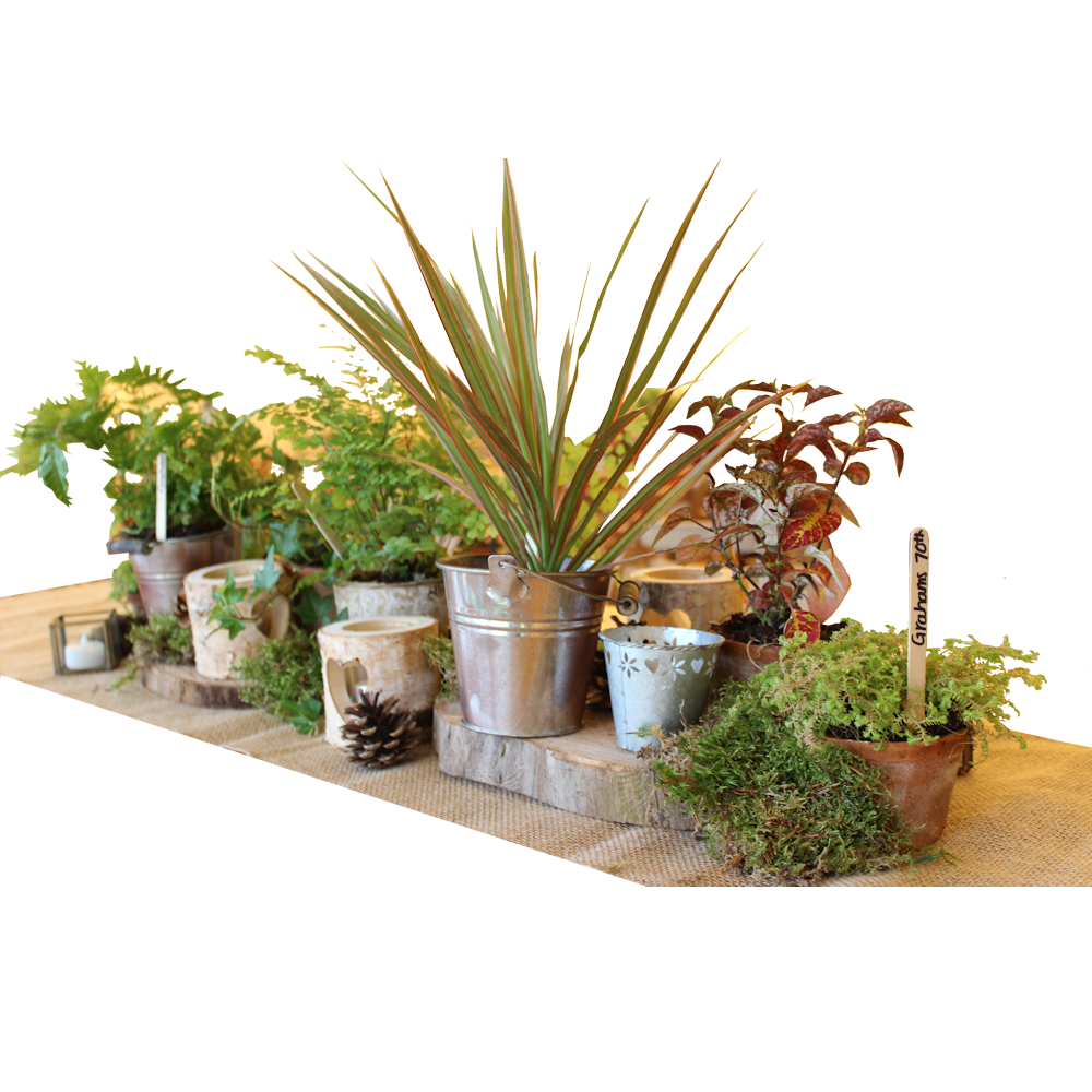 Garden Scene Table Runner Decoration
