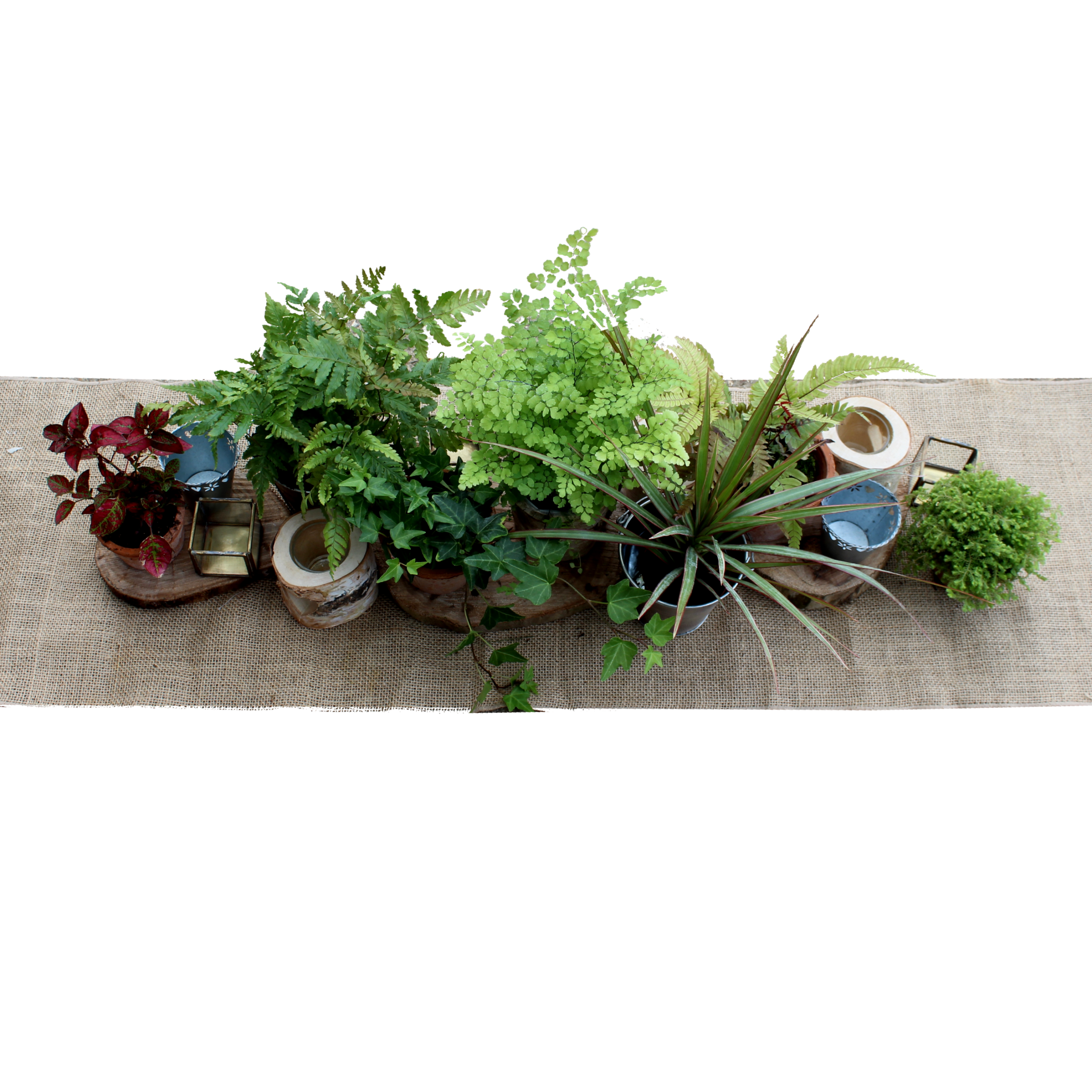 Garden Scene Theme Plant Table Runner