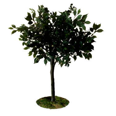 Green Tree Centrepiece