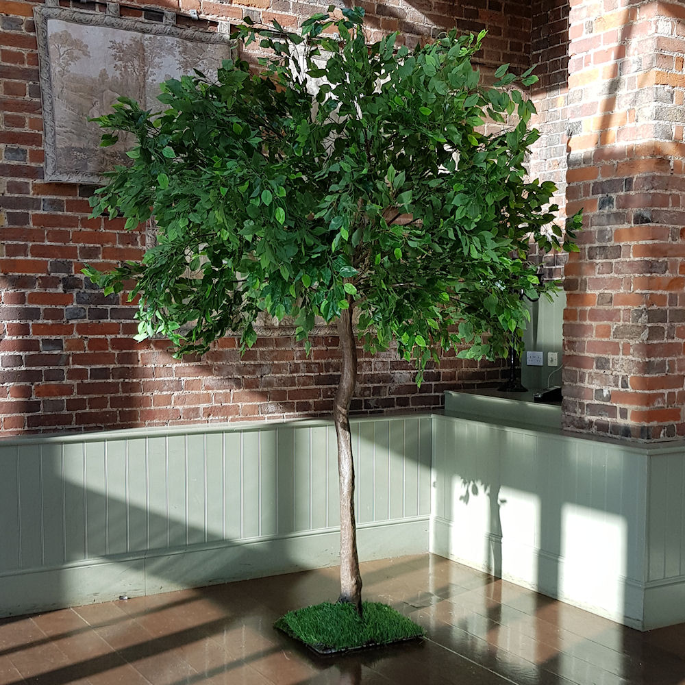 Green Floor Standing Tree