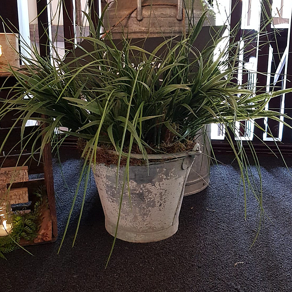 Vintage Bucket with Grass