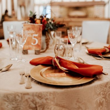 Burnt Orange Rust Napkin