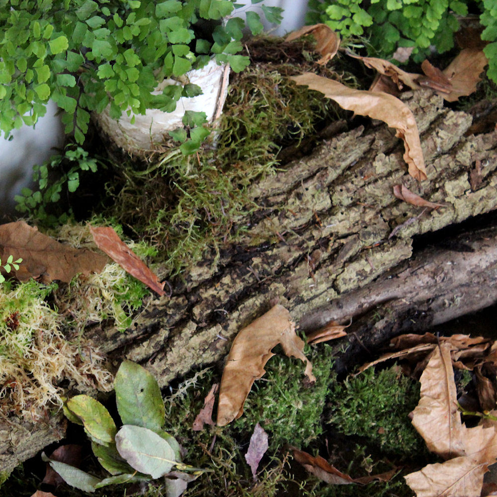 Forest Floor Table Decoration
