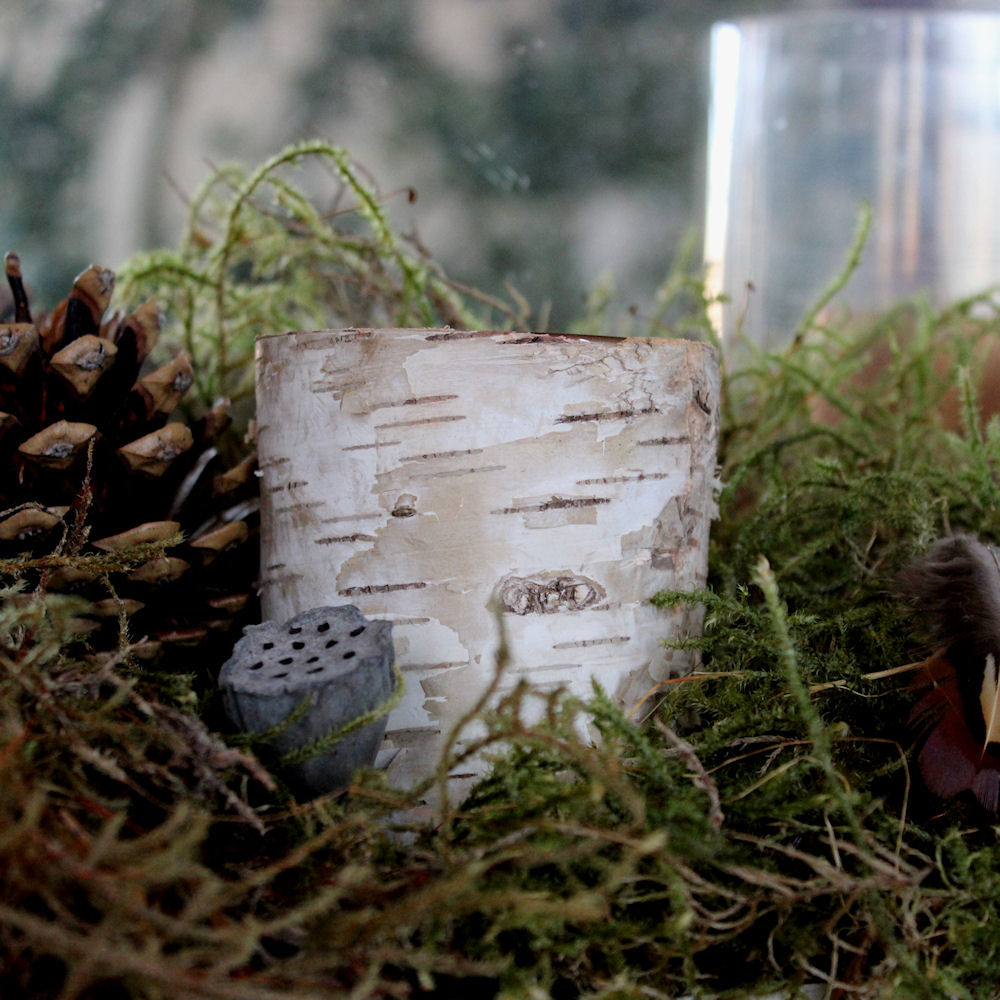 Forest Floor Table Decoration