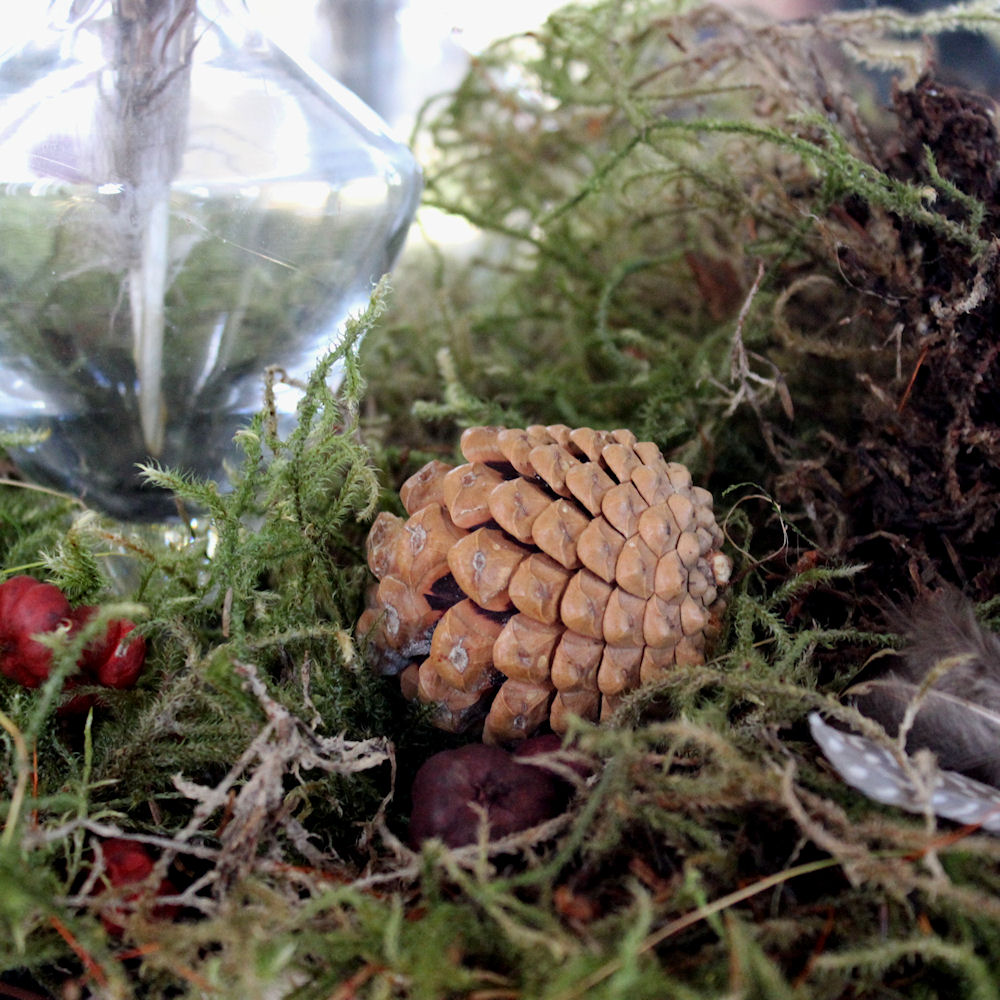 Forest Floor Table Decoration