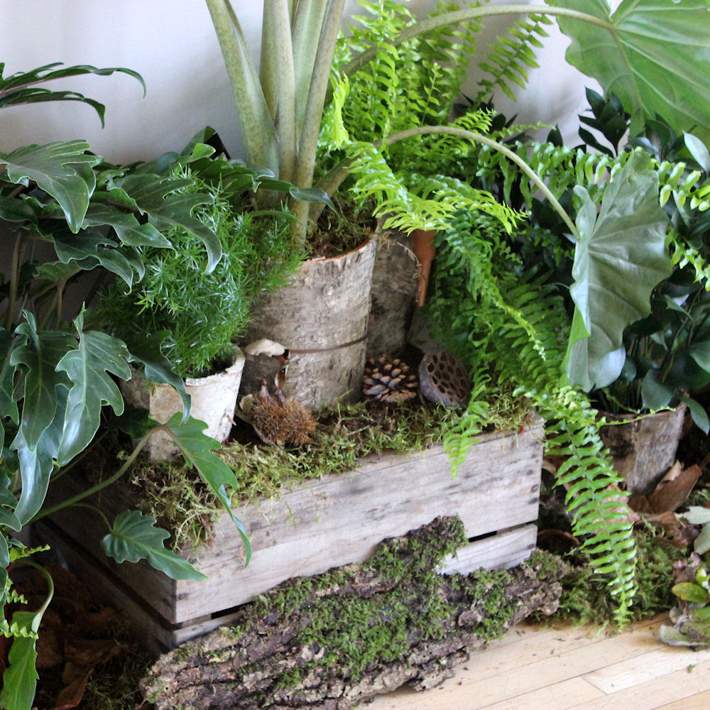 Forest Floor Table Decoration
