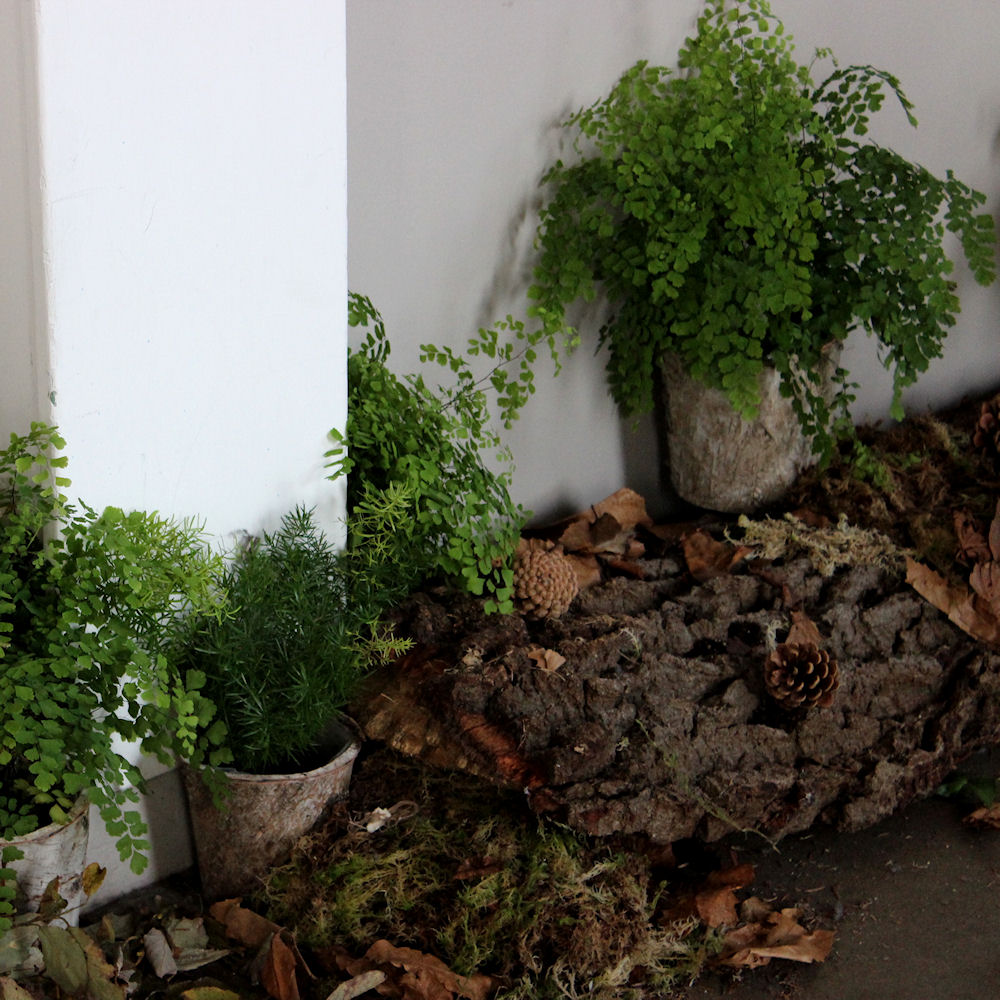 Forest Floor Table Decoration
