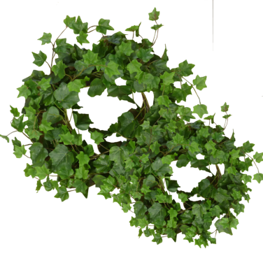 Ivy Ring Large & Small