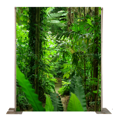 Small Jungle Backdrop