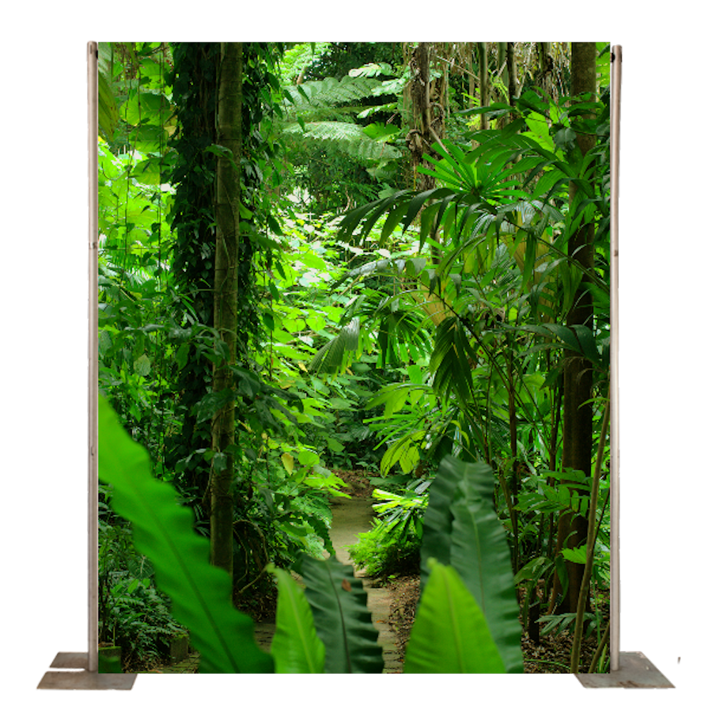 Small Jungle Backdrop