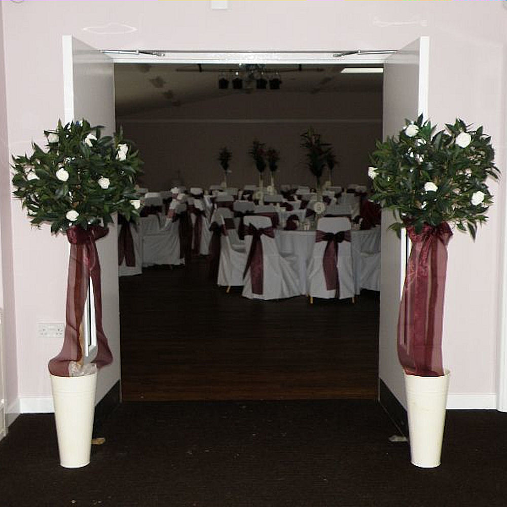 Large Bay Tree 5ft 1