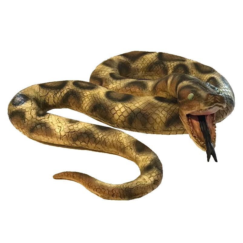 Large Python Prop