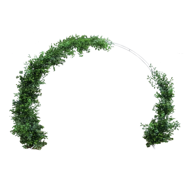 Moon Circle Arch