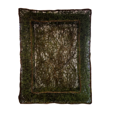 Rustic Moss Frame