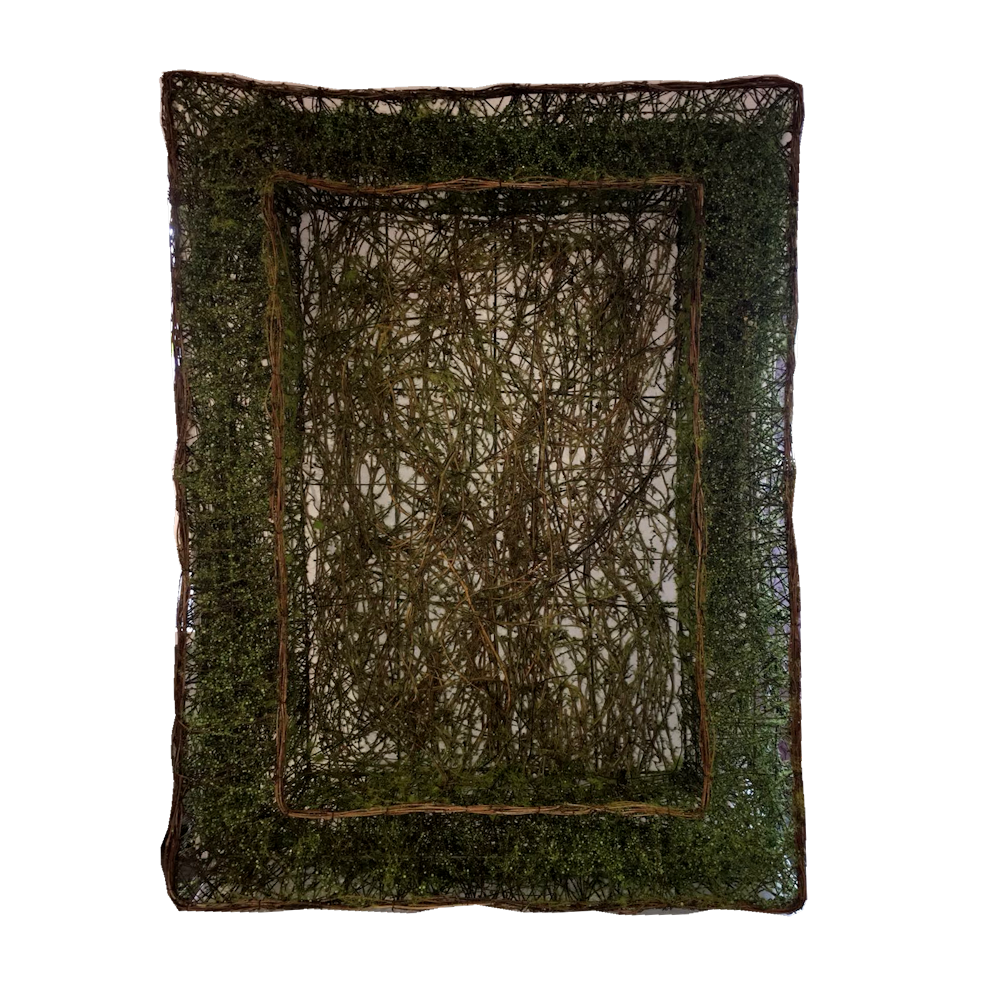 Rustic Moss Frame