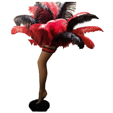 Moulin Rouge Centrepiece with Can Can Leg & Feathers