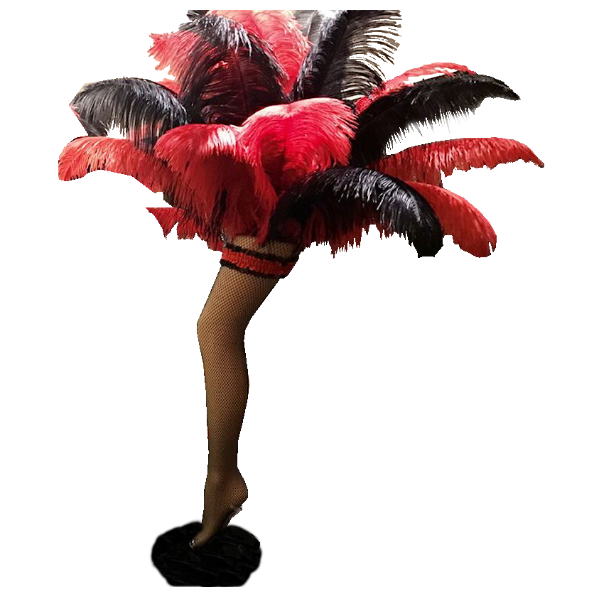 Moulin Rouge Centrepiece with Can Can Leg & Feathers