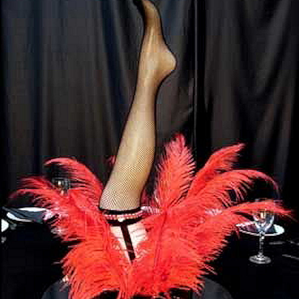 Moulin Rouge Centrepiece with Can Can Leg Upside Down & Feathers