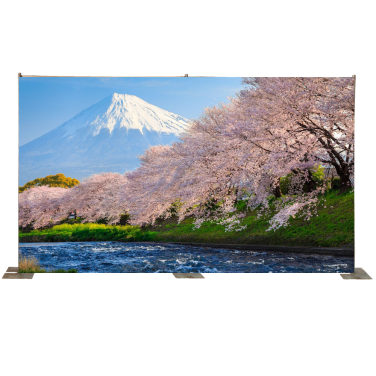 Mount Fuji with Blossom Trees Backdrop