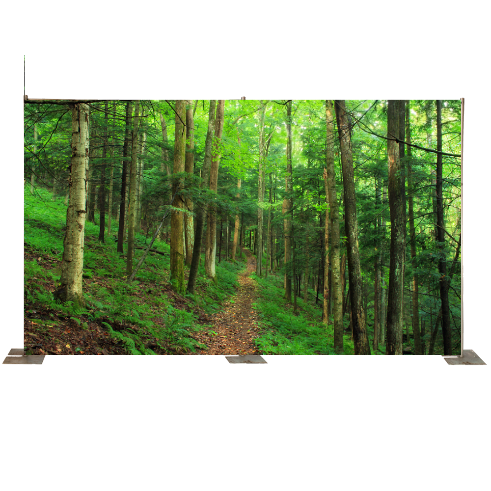 Path through the Woods Backdrop