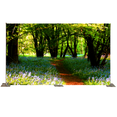 Path Through the Bluebells Backdrop