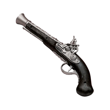 Pirate Gun / Musket