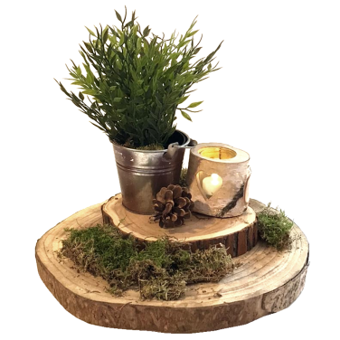 Log Slice & Plant Centrepiece