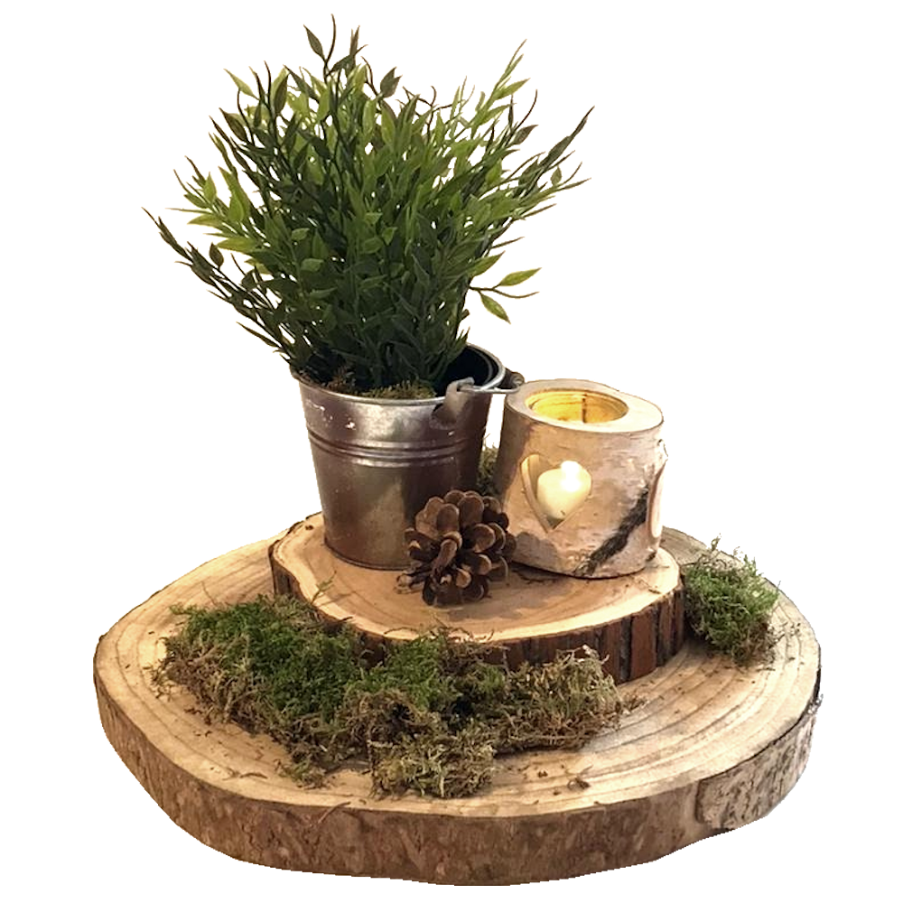 Log Slice & Plant Centrepiece