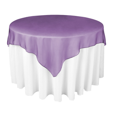 Purple Organza Overlay