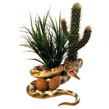 Python, Grass & Cactus Centrepiece