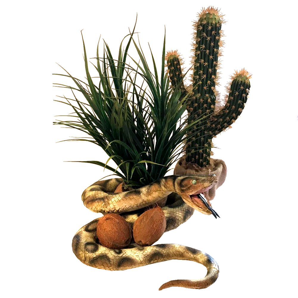 Python, Grass & Cactus Centrepiece
