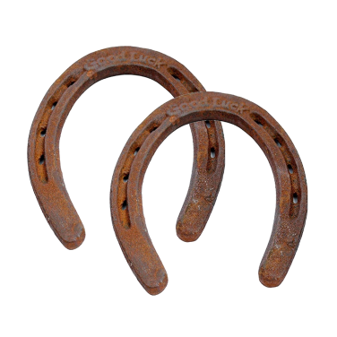 Rusty Horse Shoes