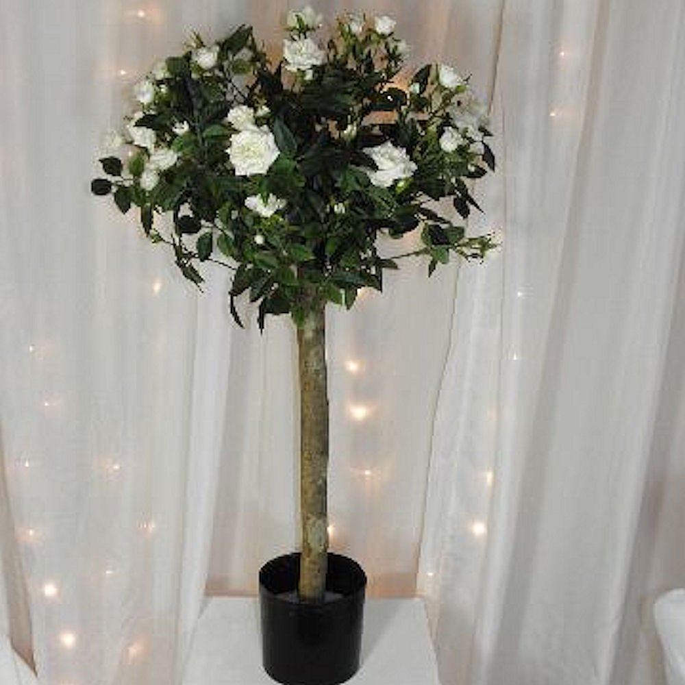 Small Bay Tree 4ft 2