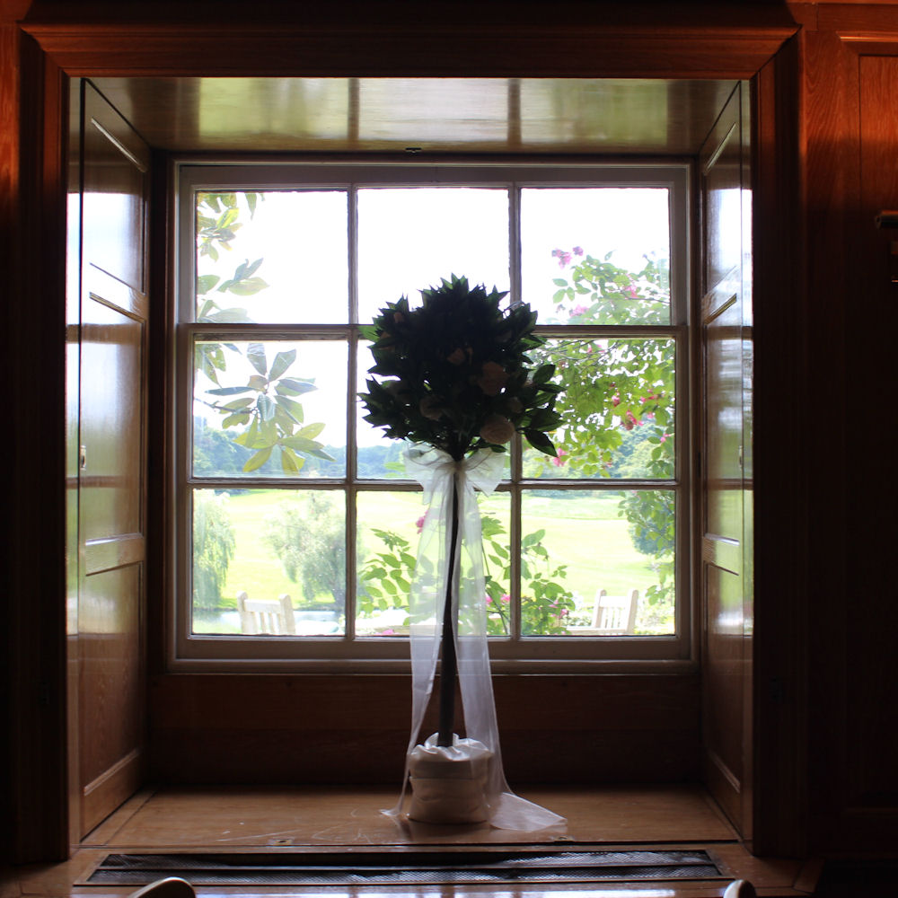 Small Bay Tree 4ft 3