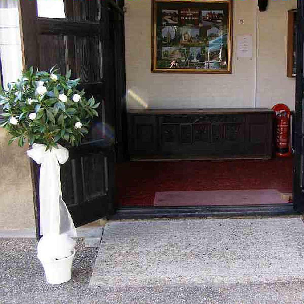 Small Bay Tree 4ft 7