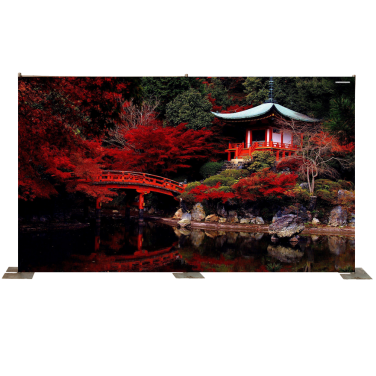 Oriental Tea House with Acer Trees Backdrop