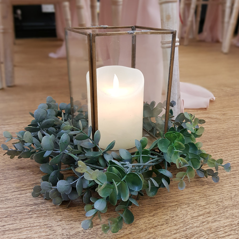 Terranium with Euc Ring