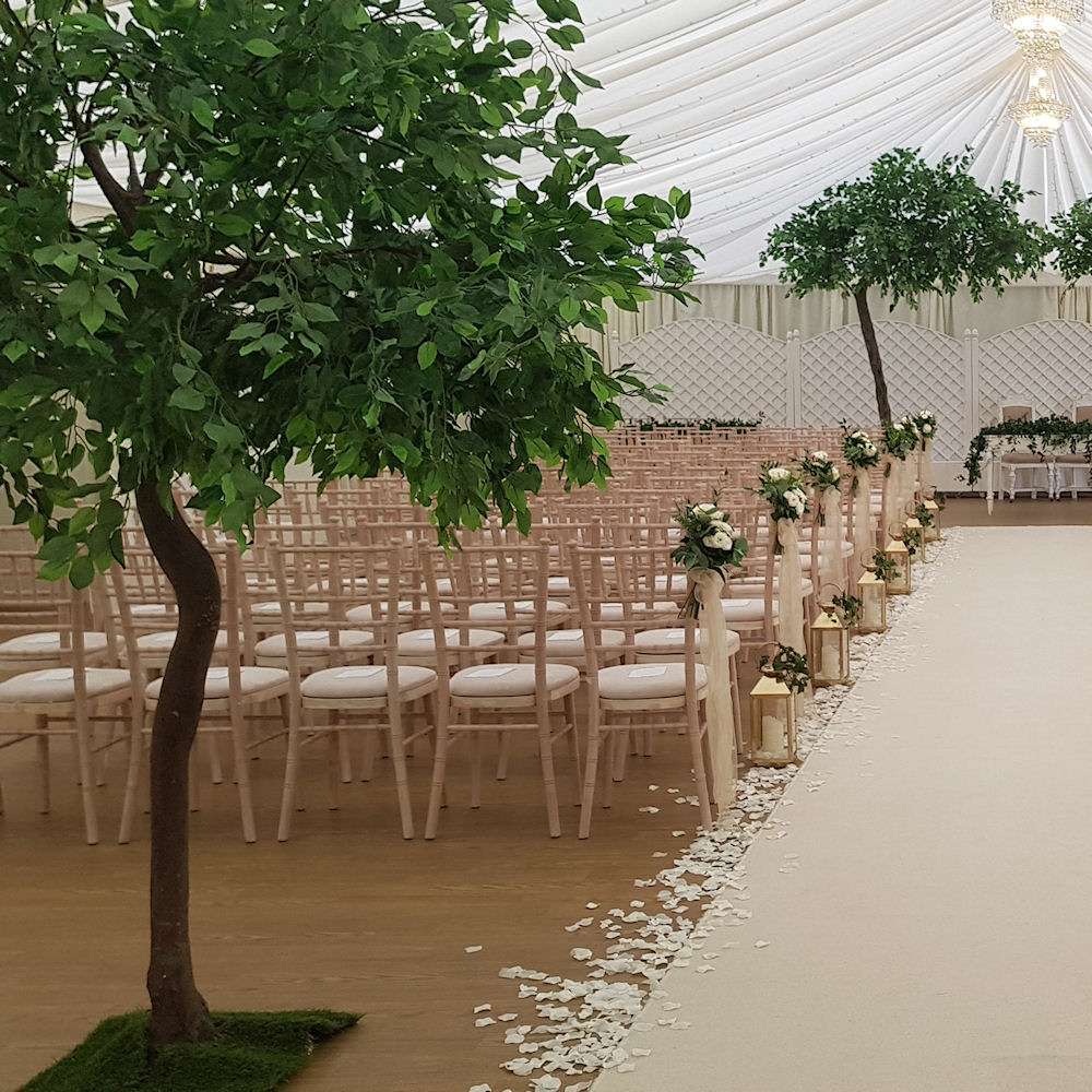 Trees Aisle Ceremony Fennes Champagne Carpet Foliage (1)
