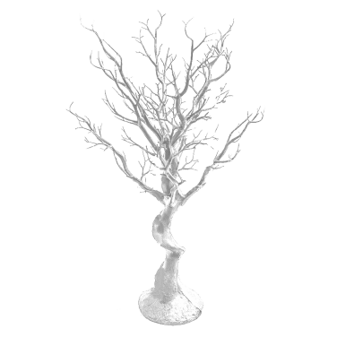 White Manzanita Tree