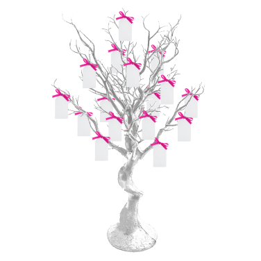 White Manzanita WISH Tree