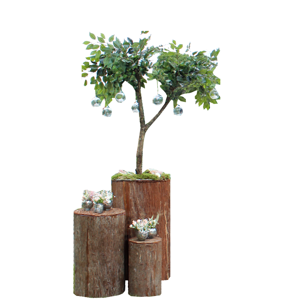 Wooden Bark Plinths 1