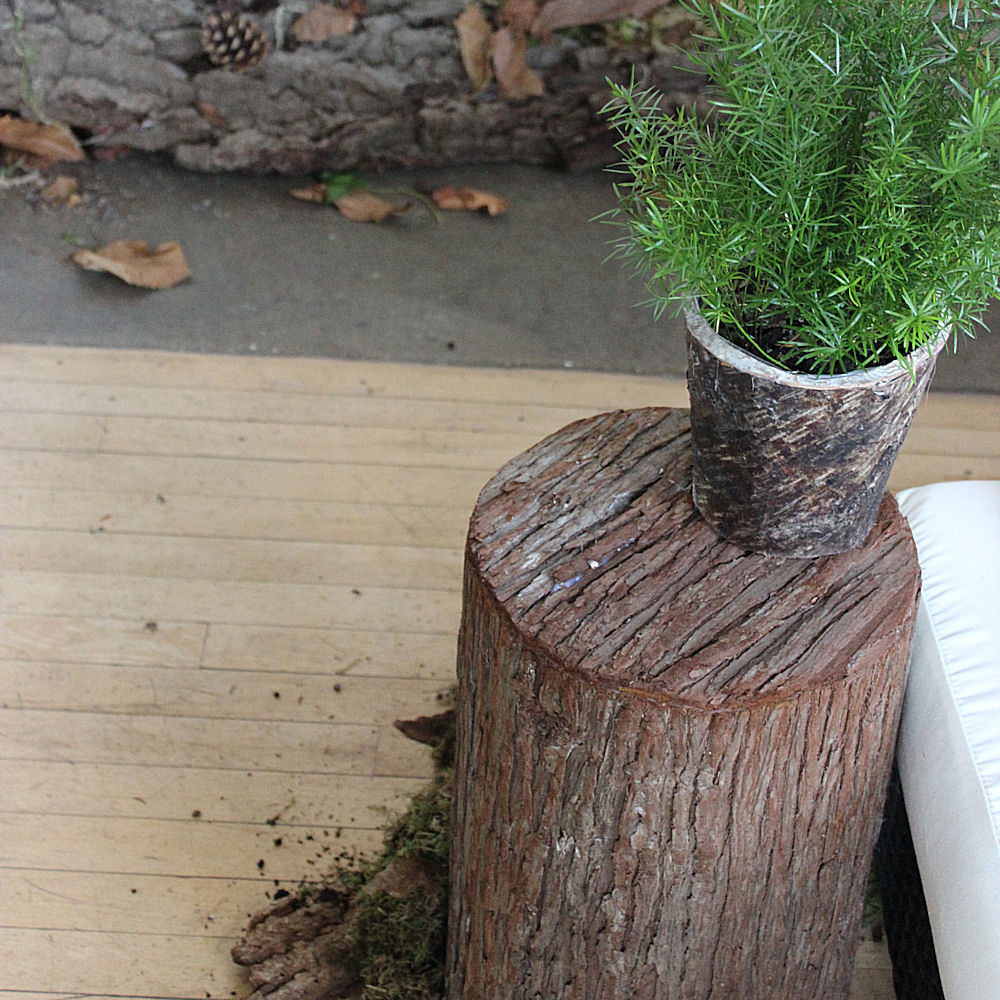 Wooden Bark Plinths 2