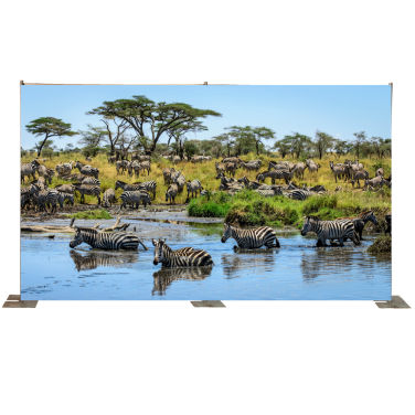 Zebra Watering Hole Backdrop