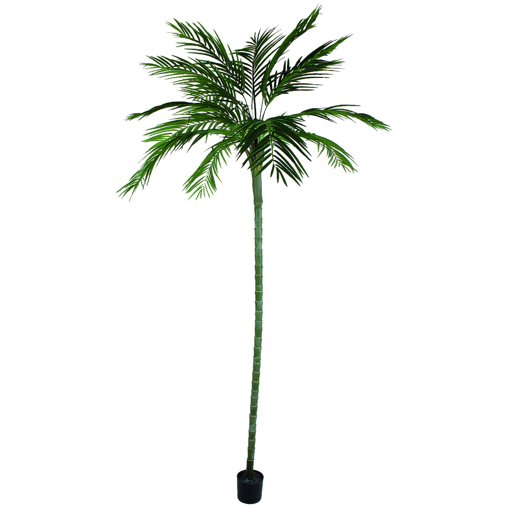 Large Floor Standing Palm Tree