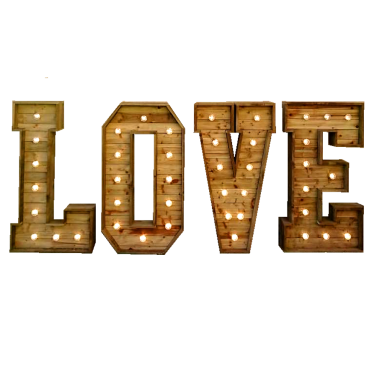 Light Up Rustic Love